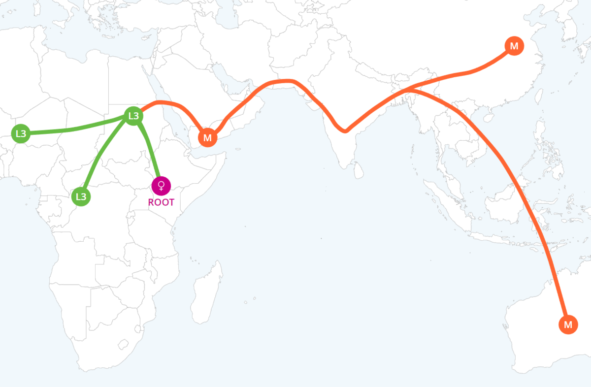 DNA mother migration map
