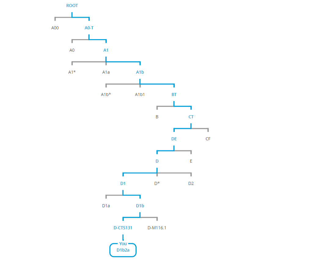 DNA father tree