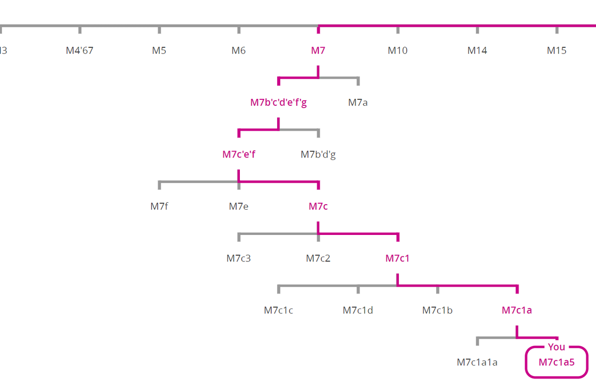 DNA mother result 2