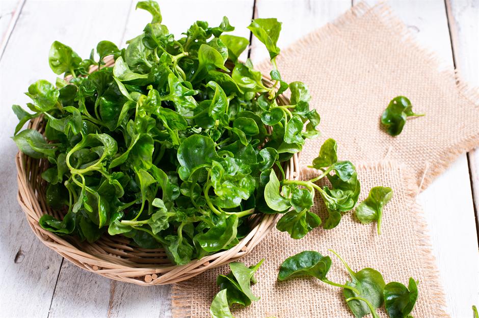 watercress