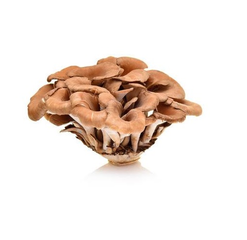 maitake