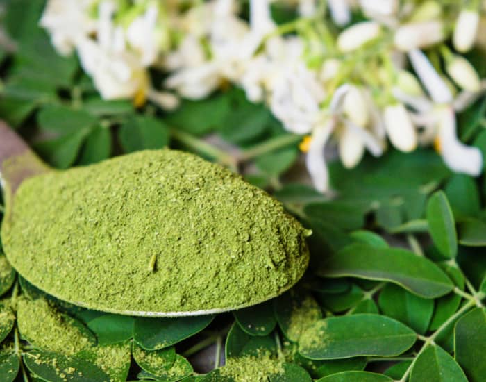 moringa