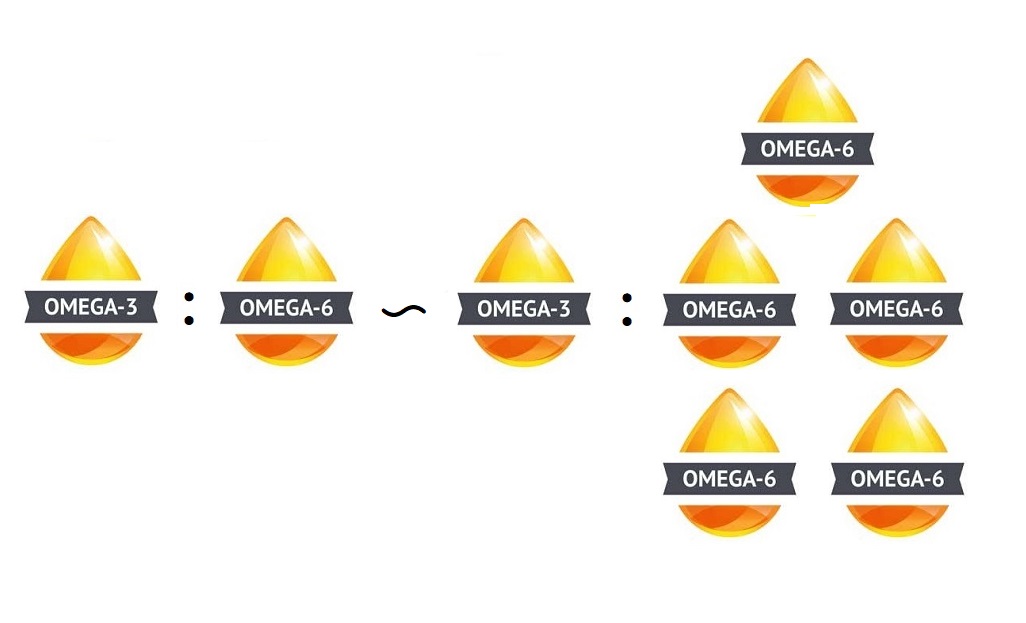 omega 3-6 main