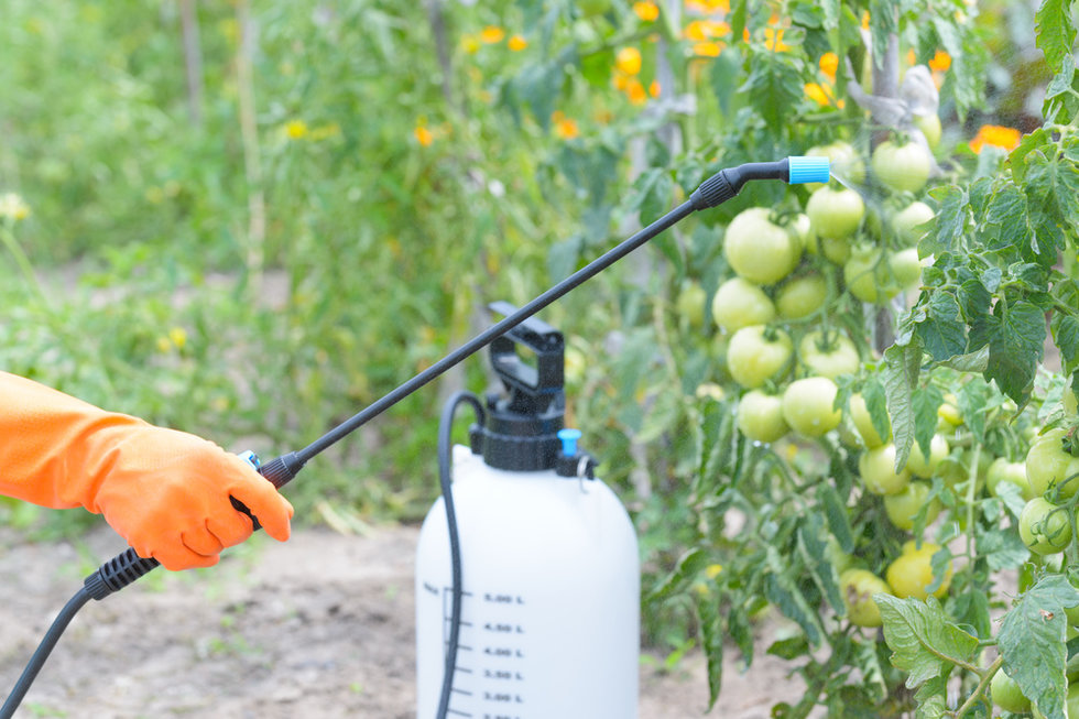 pesticide field