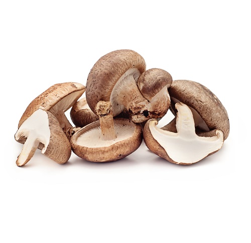 shiitake