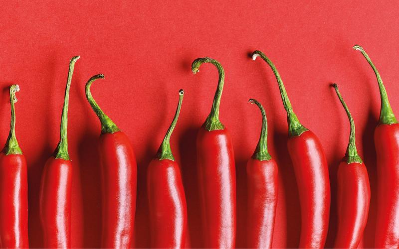 健康に良いと言われているカプサイシンなどの辛い成分の利点と盲点 Geefee