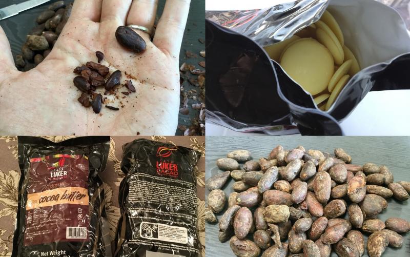 食事を重視する歯科医が伝授 カカオって奥が深い カカオ豆に含まれるカカオバターについて詳しく調べてみました Geefee