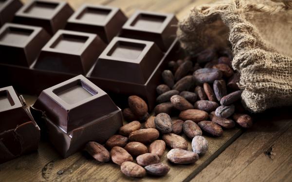 チョコレートに秘められた健康効果・効能。4000年愛される理由。