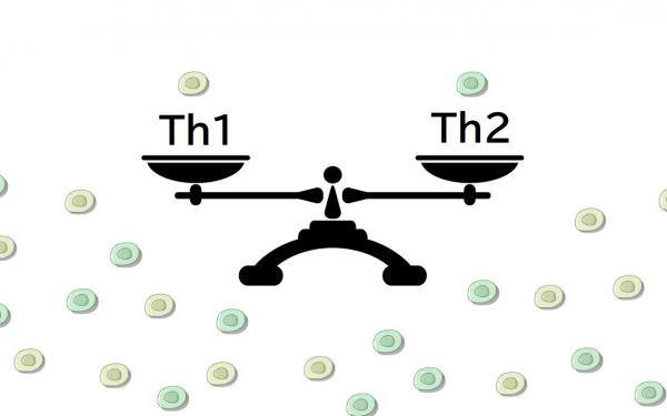 アレルギー体質もこれで改善？Th1細胞とTh2細胞の細胞バランスとは？