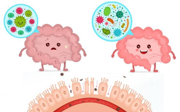 検査もネットで自宅の時代 アレルギー検査キットに挑戦 geefee